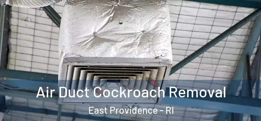 Air Duct Cockroach Removal East Providence - RI