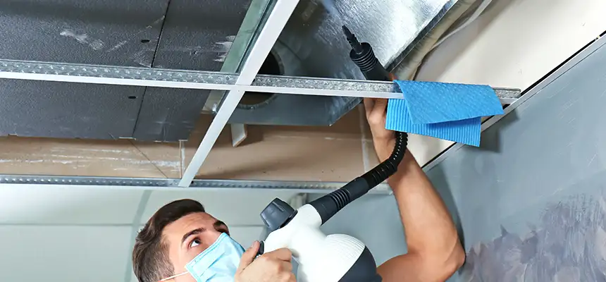Our Air Duct Rodent Removal Services in East Providence, RI