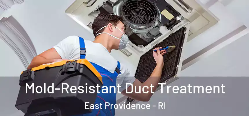  Mold-Resistant Duct Treatment East Providence - RI