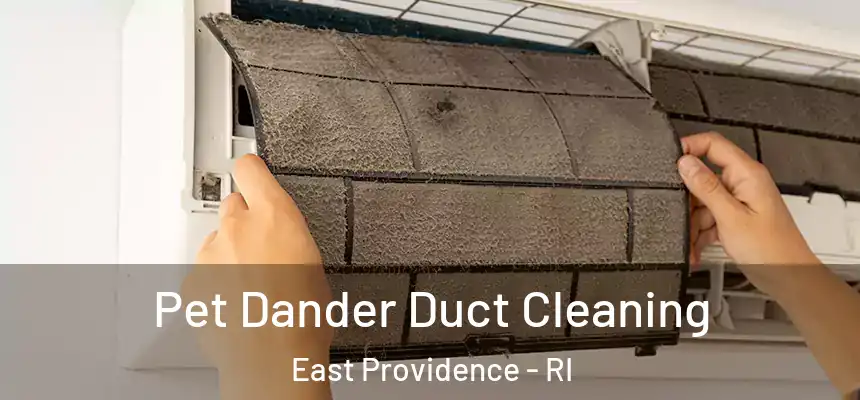 Pet Dander Duct Cleaning East Providence - RI