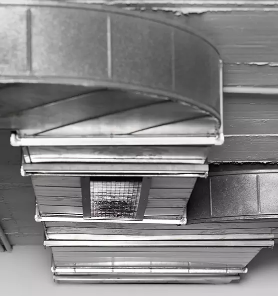 Professional Air Duct Pest Removal in East Providence, RI