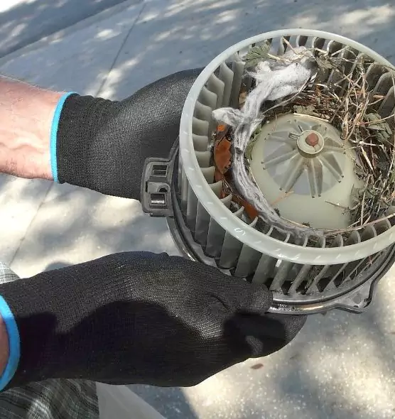 About Air Duct Rat Removal in East Providence, RI