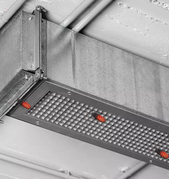 Affordable Insect Removal from Air Ducts in East Providence, RI