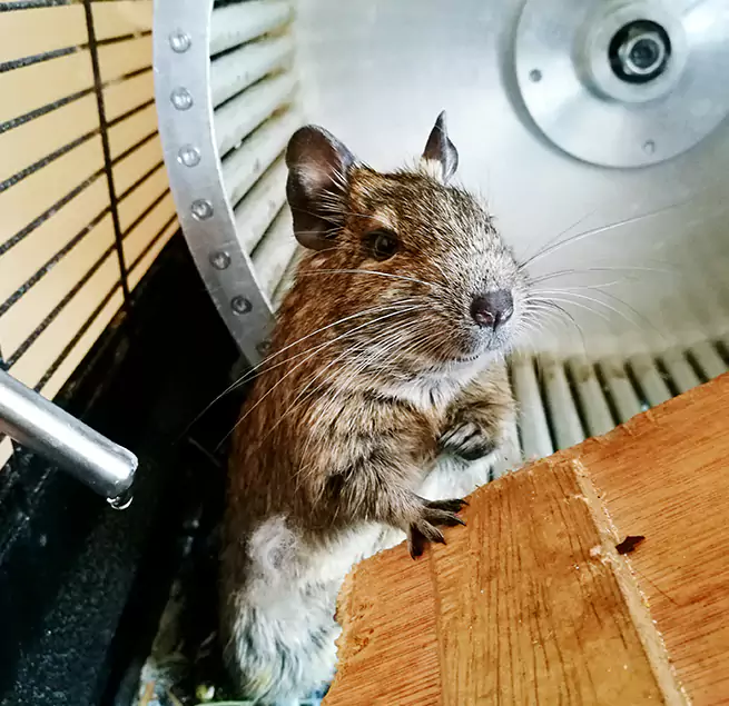 Why Homeowners & Businesses Trust Us East Providence, RI